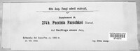 Puccinia pazschkei image